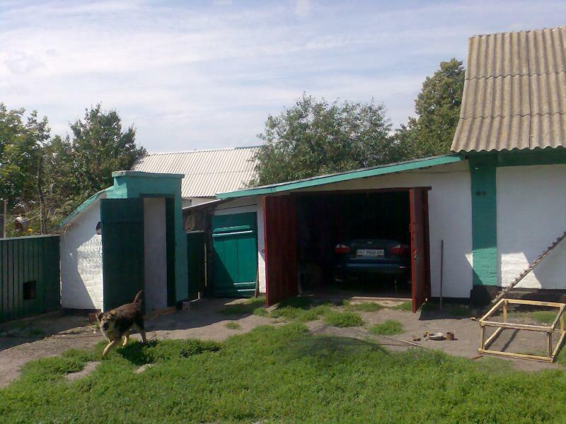 Киевская обл., Васильковский район, с. Пологи, Белоцерковская ул., 25