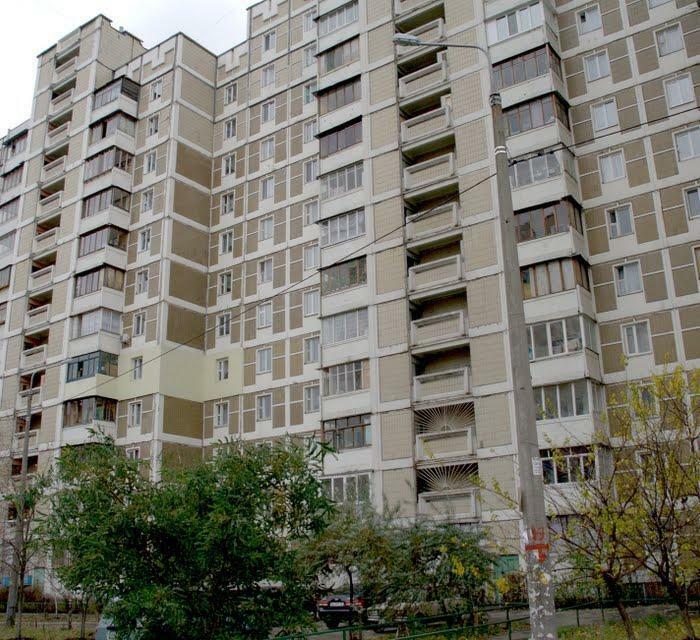 Киев, Марины Цветаевой ул., 10/87