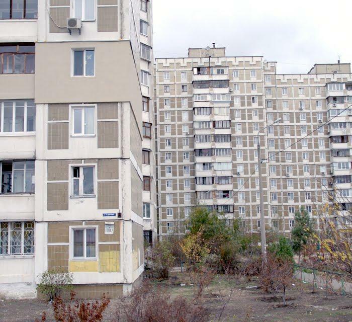 Киев, Марины Цветаевой ул., 10/87