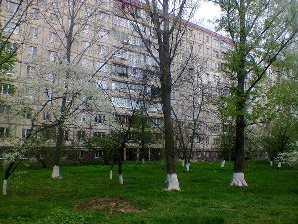 Киев, Кольцова бул., 19