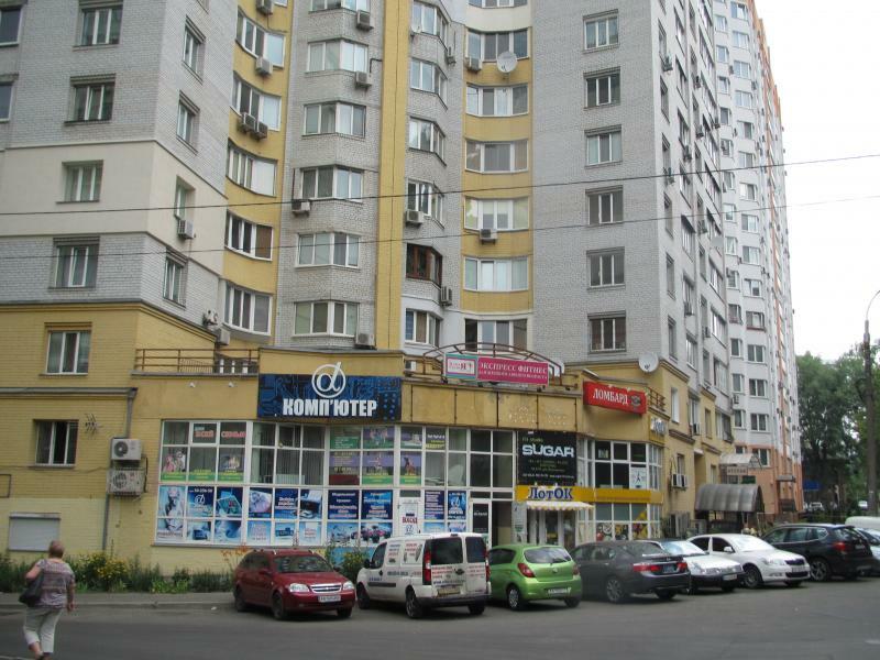 Київ, Миколи Краснова вул., 17