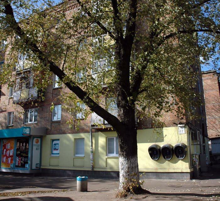 Аренда 3-комнатной квартиры 65 м², Елены Телиги ул., 17