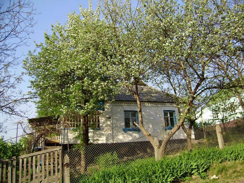 Киевская обл., Кагарлыкский район, г. Ржищев, Папанина ул., 18