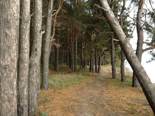 Киев, Ясногорская ул., 26