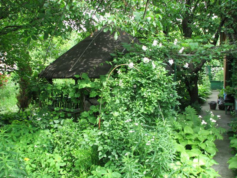 Киев, Марка Черемшины ул., 16