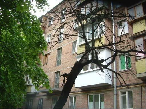 Київ, Білоруська вул., 15А