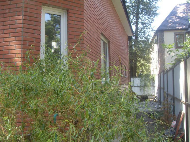 Київська обл., Бучанський район, м. Ірпінь, Київська вул., 55