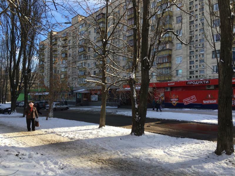 Київ, Академіка Доброхотова вул., 11