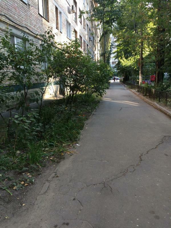 Киев, Академика Доброхотова ул., 26