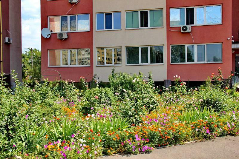Дніпро, Велика Дєєвська вул., 24Б