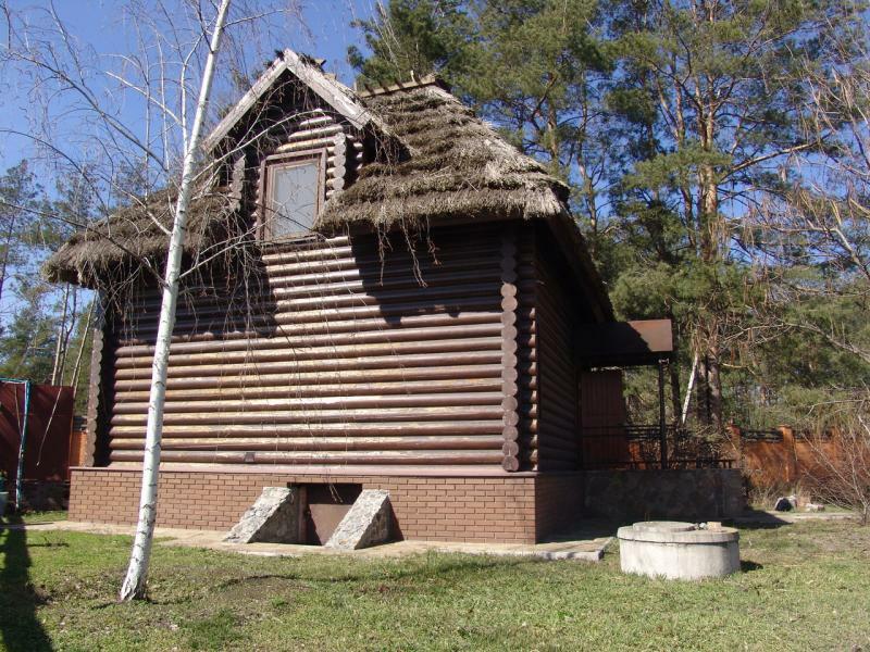 Днепропетровская обл., Новомосковский район, с. Орловщина, Дачная ул., 79А