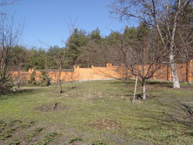 Днепропетровская обл., Новомосковский район, с. Орловщина, Дачная ул., 79А