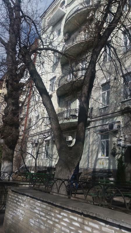 Киев, Академика Богомольца ул., 5