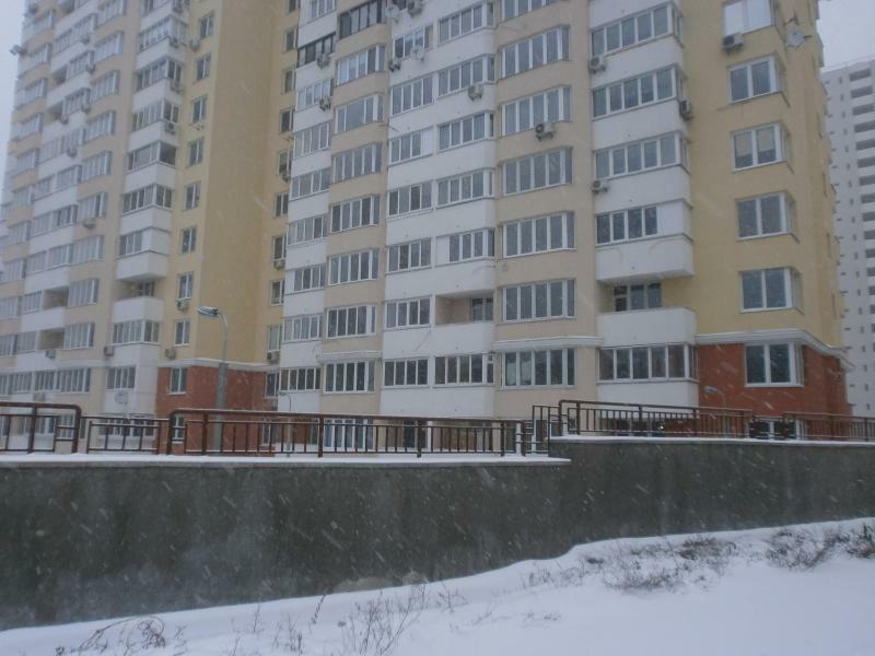 Киев, Белицкая ул., 20