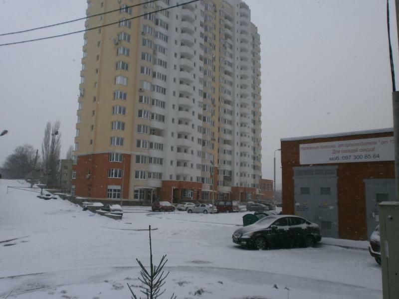 Киев, Белицкая ул., 20