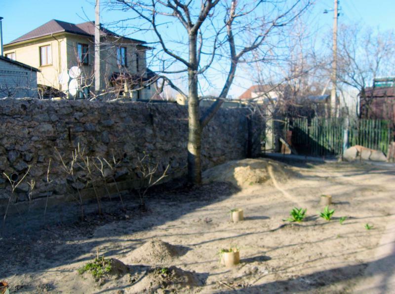 Запорожье, Силовая ул., 34