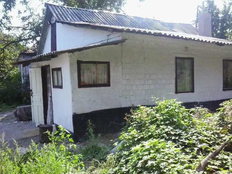 Днепропетровская обл., Каменской район, пгт Карнауховка, Пушкина ул., 48