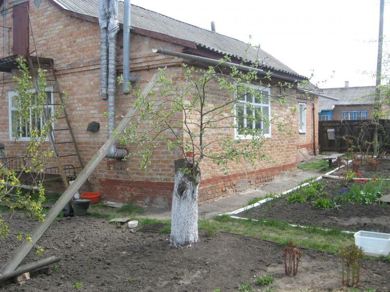 Полтавская обл., Миргородский район, г. Миргород, Рабочая ул., 9