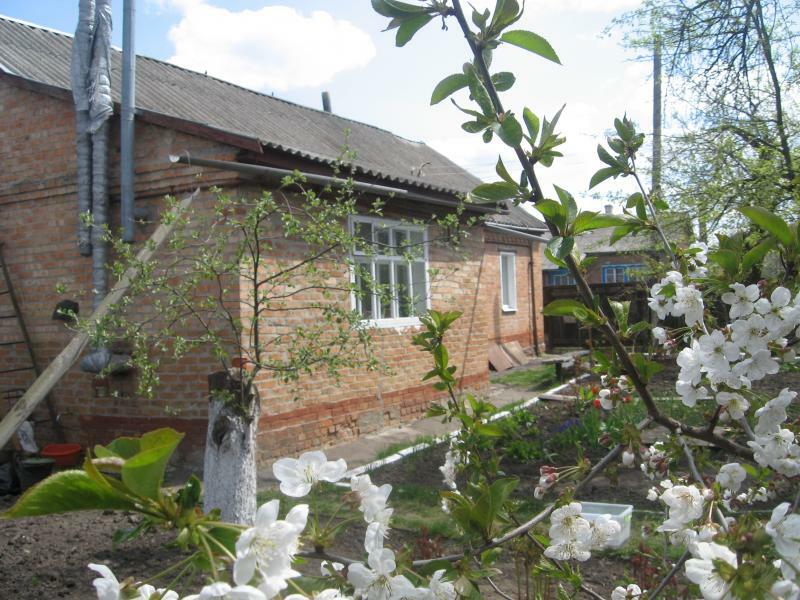 Полтавская обл., Миргородский район, г. Миргород, Рабочая ул., 9