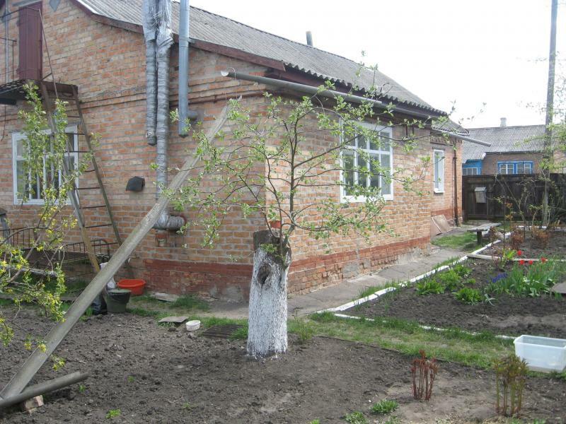 Полтавская обл., Миргородский район, г. Миргород, Рабочая ул., 9
