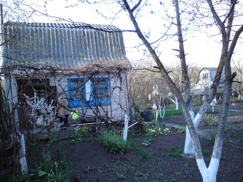 Київська обл., Білоцерківський район, м. Біла Церква, Колісна вул., 36