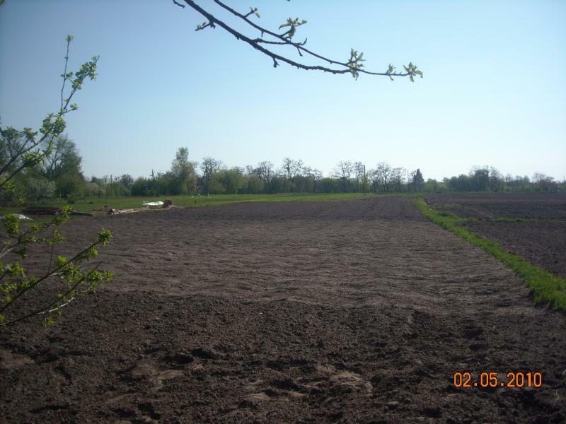 Київська обл., Бориспільський район, м. Переяслав, Колхозная вул., 2