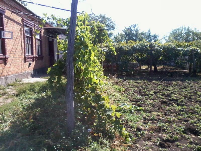 Одесская обл., Любашевский район, пгт Любашевка, Горького ул., 3