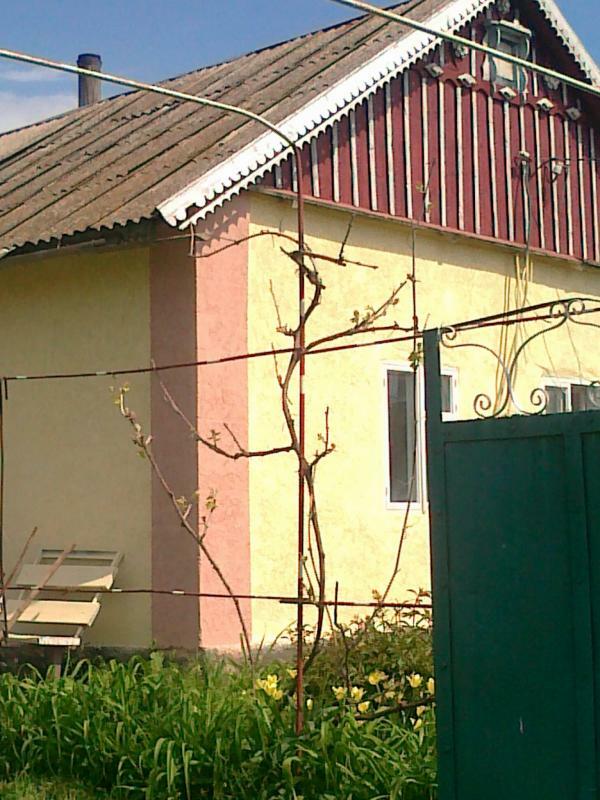 Одесса, Чапаева ул., 1