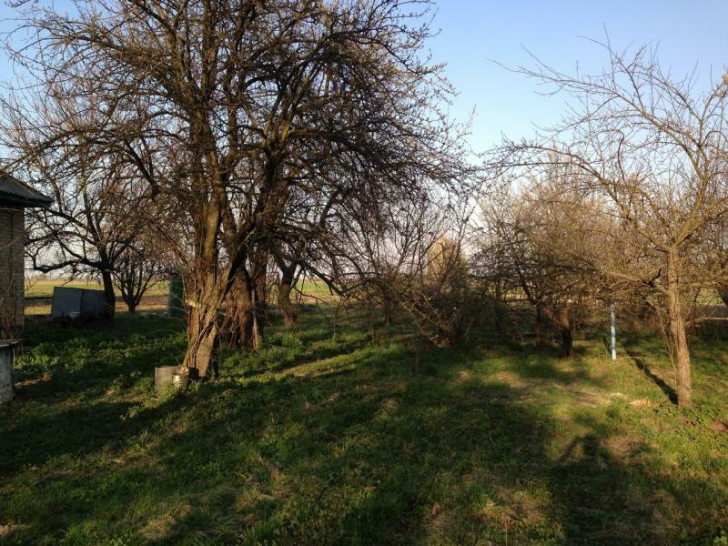 Киевская обл., Бориспольский район, г. Борисполь, Комарова ул., 10