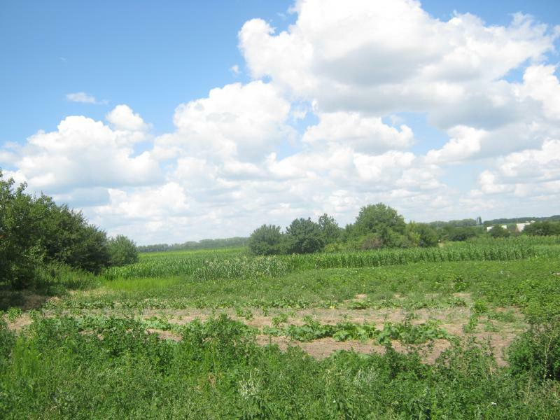 Черкасская обл., Золотоношский район, с. Крапивна, Лобановского ул., 12