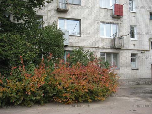 Чернигов, Тракторная ул., 86