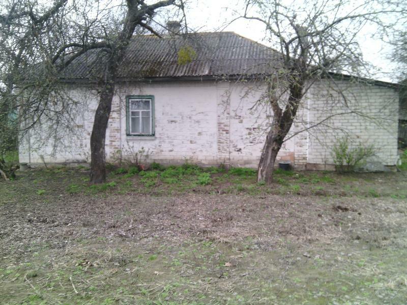 Чернігівська обл., Козелецький район, с. Карпилівка, Центральная вул., 166