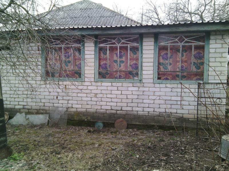 Чернігівська обл., Козелецький район, с. Карпилівка, Центральная вул., 166