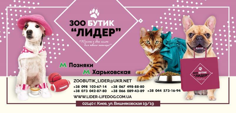 Київ, Вишняківська вул., 19/19