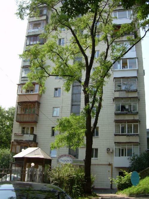 Киев, Виноградный пер., 6