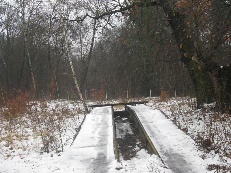 Київська обл., Вишгородський район, смт Димер, Бударіна вул., 1