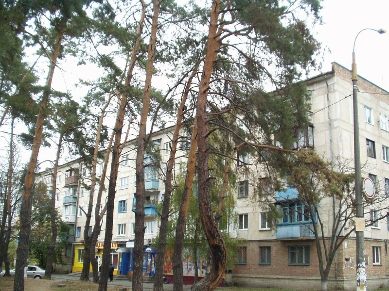 Киев, Бориспольская ул., 43