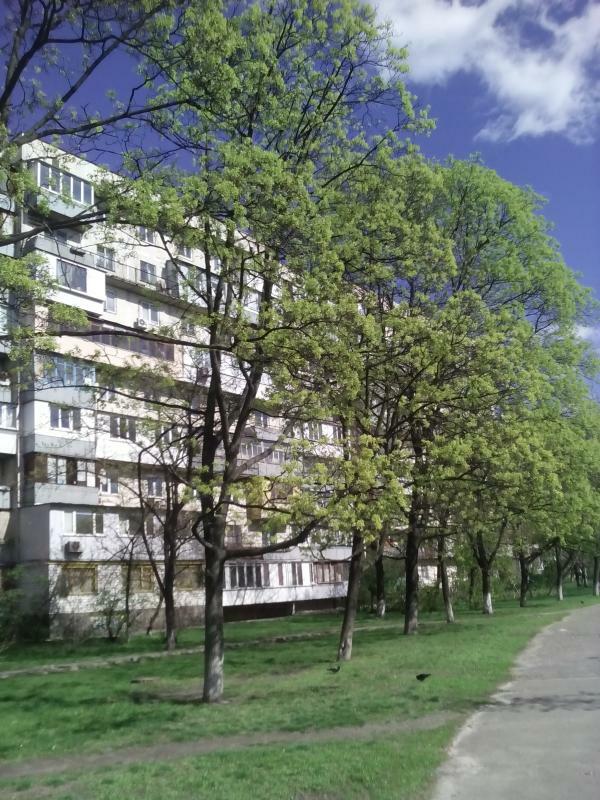 Київ, Братиславська вул., 40
