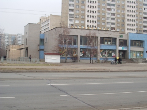 Киев, Сержа Лифаря ул., 13