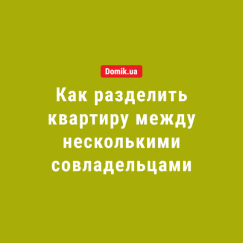 Как законно разделить квартиру в Украине в 2018 году: инфографика 
