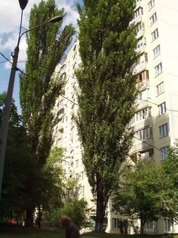 Киев, Голосеевский просп., 21