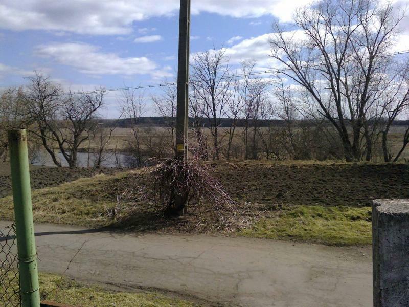 Днепропетровская обл., Криворожский район, г. Кривой рог, Филиппова ул., 29