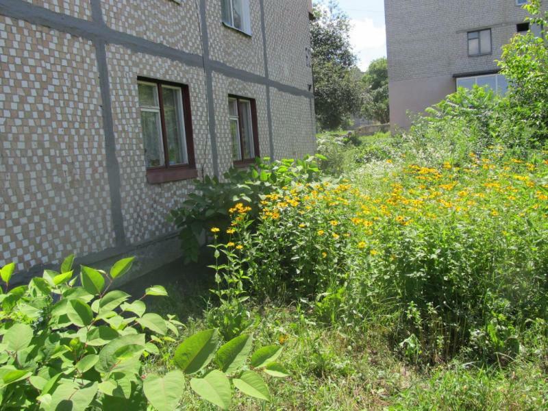 Аренда 2-комнатной квартиры 47 м², Владислава Зубенко ул., 34