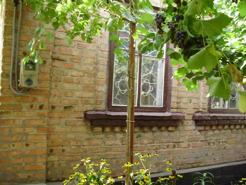 Днепропетровская обл., Криворожский район, г. Кривой рог, Печерская ул., 85