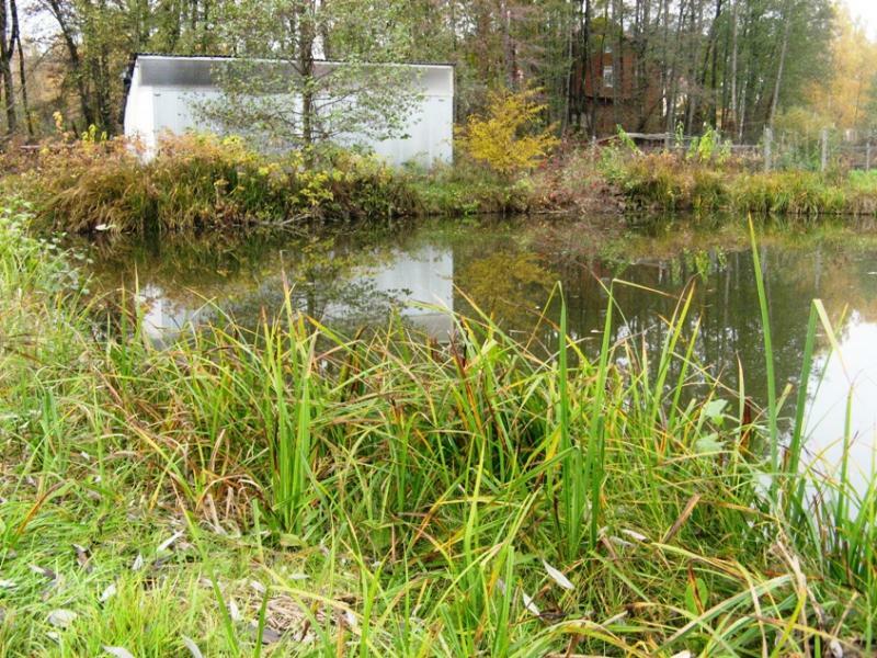 Киевская обл., Васильковский район, с. Крушинка, Лесной пер., 2В