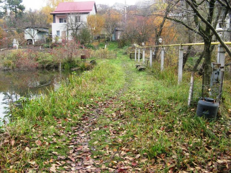 Киевская обл., Васильковский район, с. Крушинка, Лесной пер., 2В