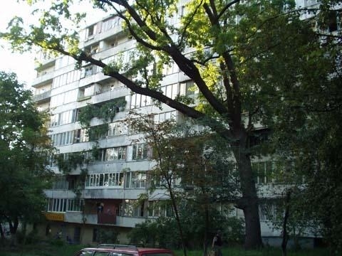 Київ, Верховинна вул., 80