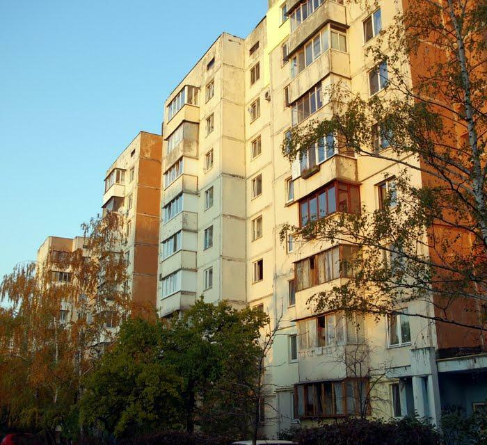 Киев, Героев Днепра ул., 79