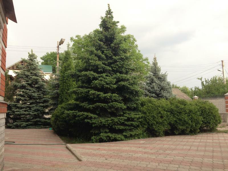 Харків, Горького вул., 12