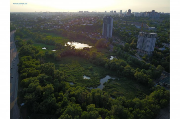 Кияни просять накласти мораторій на забудову нижнього каскаду Совських ставків: петиція до Київської міськради